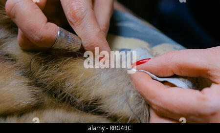 Manteau de fourrure réparation sur mesure Banque D'Images