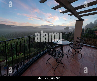 Balcon donnant sur une vigne à Napier, île du Nord, en Nouvelle-Zélande. Banque D'Images