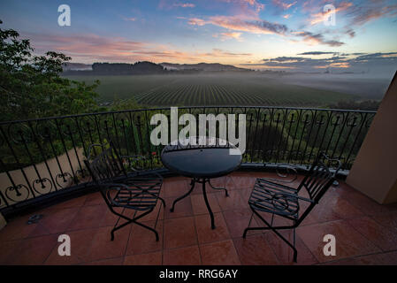 Balcon donnant sur une vigne à Napier, île du Nord, en Nouvelle-Zélande. Banque D'Images