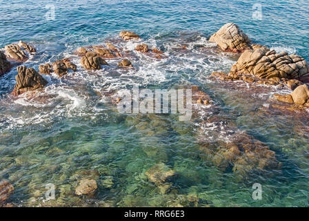 La plage de Fanals Platja de Fenals à Lloret de Mar sur la Costa Brava de Catalogne Gérone Espagne Banque D'Images