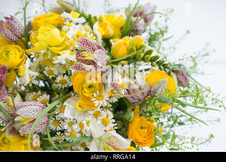 Botanique, bouquet de jonquilles à carreaux avec, attention ! Pour Greetingcard-Use Postcard-Use / dans la partie germanophone du pays, certaines restrictions peuvent s'appliquer Banque D'Images