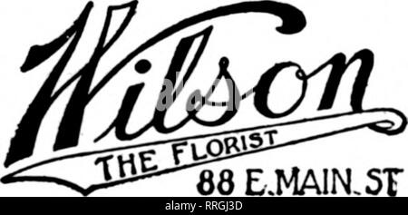 . Les fleuristes [microforme] examen. La floriculture. FLORAL WETTLIN CO. HORNELL, N. Y. Pour service qaick de Avoca, Addison. Andover, Arkport, amande, Angelica, baignoire, entrée, de Cuba, de Canisteo, Castille, Cansarga, Cohocton, ami- ship, Wellsville, Wayland, Varsovie, Dansville, Nunda et d'autres villes de l'ouest de New York. ROCHESTER, N. Y.. F. T. D. Wereaoh E.MA1N,5T N.V Western . Point !" HORNELL, New York C. G. JAMES &AMP ; Fils des livraisons rapides à Elmira, venant et WeUsvUla. EImira,N.Y. RAWSON, livraisons FLEURISTE THR à Ithsca. Binghamton, Homell à venir, et d'autres points. JAMESTOWN, N. Y. Heelas rose ... Banque D'Images