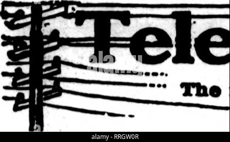 . Les fleuristes [microforme] examen. La floriculture. 26 Febbdabt Rorists^ 1920, le ti d'examen. TIta florlsta svpear sur les cartes dont la fhe pacos canriaK" fhl tête, sont prêts à remplir les commandes de ofher Oorlsto -- pour la livraison locale sur la base d'habitude.. Veuillez noter que ces images sont extraites de la page numérisée des images qui peuvent avoir été retouchées numériquement pour plus de lisibilité - coloration et l'aspect de ces illustrations ne peut pas parfaitement ressembler à l'œuvre originale.. Chicago : les fleuristes Pub. Co Banque D'Images