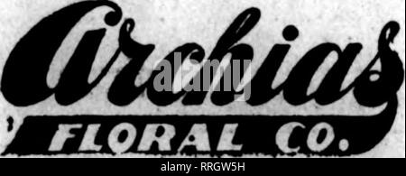 . Les fleuristes [microforme] examen. La floriculture. LOTUS ST MO Envoyez vos commandes à F.H.WEBER ?^• •* - -"-^^ ^^ v -^^^LTXV^ -y. Taylor Avenue et Rue d'olive d'avoir tout. Les plantes ou les fleurs coupées.  ? Toutes les commandes exécutées avec soin sous ma supervision personnelle. Les États les fleuristes Livraison de télégraphe Association. Livrer des fleurs en ville ou de l'État à court préavis. , ST LOUIS, MO. GRIMM &AMP ; GORLY menant au centre-ville les fleuristes fleuristes membres' Telegraph Livraison LES COMMANDES POUR ST. LOUIS, MO. YOUNG'S : : 14060KveSt. ST. LOUIS, MO. Sur le fil de téléphone ou vos commandes à la CHAMBRE DES FLEURS OSTERTAG BROS. La Larg Banque D'Images