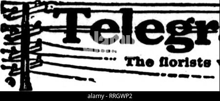 . Les fleuristes [microforme] examen. La floriculture. 88 Les fleuristes^ Decembeb Examen 11. 1919.. Veuillez noter que ces images sont extraites de la page numérisée des images qui peuvent avoir été retouchées numériquement pour plus de lisibilité - coloration et l'aspect de ces illustrations ne peut pas parfaitement ressembler à l'œuvre originale.. Chicago : les fleuristes Pub. Co Banque D'Images