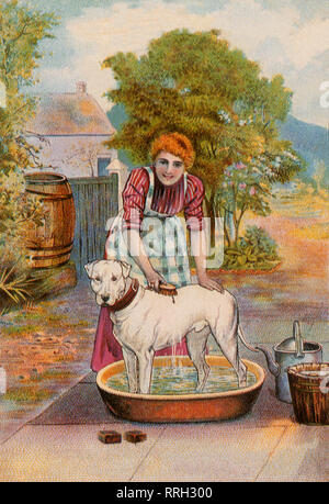 La femme donne chien une baignoire. Banque D'Images