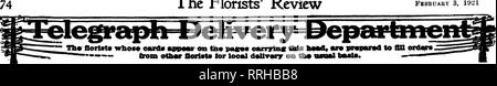 . Les fleuristes [microforme] examen. La floriculture. L'examen pour fleuristes Fbbbuaky 3, 11)21. Toutes les commandes exécutées avec soin. Morceau de choix disponibles et les plantes à partir de nos propres serres. S FIN DE VOTRE COMMANDE ANDER NURSERY CO. 623 Clara Ave., ST. LOUIS, MO S Membres de l'Association Prestation télégraphe pour fleuristes LOTUS ST MO Envoyez vos commandes à F.H.WEBER^ ? ? ? ? • J-iV -^ ^^^^^y J.TXV" Taylor Avenue et Rue d'olive d'avoir tout. Les plantes ou les fleurs coupées. Toutes les commandes exécutées avec soin sous ma supervision personnelle. Les États les fleuristes Livraison de télégraphe Association. Livrer des fleurs en ville ou de l'État de court-circuit N Banque D'Images