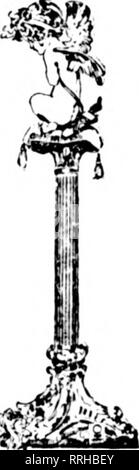 . Les fleuristes [microforme] examen. La floriculture. 22 Les fleuristes^ Januarv Examen 13. 1921 comniou de nombreux noms ou surnoms. Par exemple, Leucan Clirysaiithemnm^- themum, American ou oxeyc whitcweed ou DAISY, porte aussi les titres de^ lune daisy, Daisy, grand f^sotinas daisy, Daisy, daisy cheval au milieu, etc., et certains horticulteur cynique, pleinement convaincu que l'usine est notliing blesome mais un trou- ou de mauvaises herbes ]H'st, il a qualifié le Devil's daisy. Pourtant, malgré tout ce qui a été dit ici à propos de la multitude de fleurs différentes qui sont connus comme des marguerites, la confusion de noms n'est pas aussi compl Banque D'Images