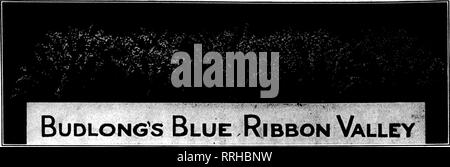 . Les fleuristes [microforme] examen. La floriculture. 48 L'examen pour fleuristes 3 FiBBUABY, 1921. Bon APPROVISIONNEMENT POUR ST. VALENTINE'S DAY A La Violette et Nesbit Corsage Roses. RUSSELL, Premier Ministre de la Colombie-Britannique, MILADY HEARST OPHELIA Excellent Roses PAPILLON DOUBLE BLANC SUNBURST CRUSADER KILLARNEY ŒILLETS blanc, rose clair, rouge profond Pinic, bonne récolte, y compris les meilleurs Mme C. W. Ward sur ce marché, sans exception les jonquilles^ Tulipes, Freesia, jacinthes, Marguerites, Calendulas, les petits pois, de violette, de lis de Pâques, Callas, papier blanc, jaune narcisses, pensées et toutes les autres fleurs de saison. Fougères, Adiantum, cuisine Mexicaine Banque D'Images