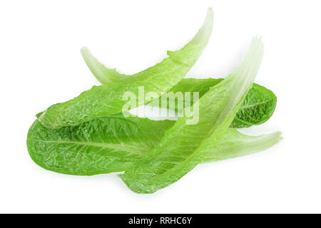 Laitue romaine cos frais isolé sur un fond blanc. Vue d'en haut. Mise à plat Banque D'Images