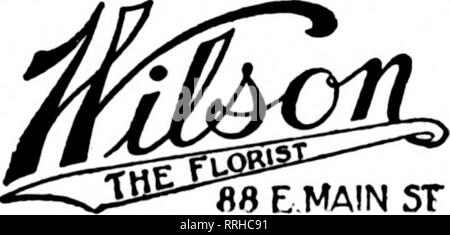 . Les fleuristes [microforme] examen. La floriculture. Les fleuristes membres Prestation Télégraphe Asa'n. La boutique de fleurs Rosendale 126 JAY STREET Schenectady, NY Aucune commande n'est trop grand pour nous tous, ce n'est pas trop petit pour l'étude. Les États F. D. T. WETTLIN CO. FLORAL HORNELL, N. Y. Pour service qaick de Avoca, Addison. Andover. Arkport, amande, Angelica, baignoire, Entrée, l'ACAB, CaniBten Cansarga, Castille,, Conocton Destinattare*, navire, Wellsville, Wayland, Varsovie, Dansville. Nunda et d'autres villes de l'ouest de New York.. ROCHESTER, N. Y., F. D. T. nous atteindre tous les fl8 F.MAIN 5T yTZ'U Rochester, N. Y. ' ? ^^ »-"fSl Banque D'Images