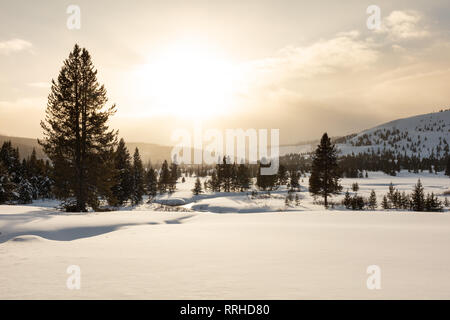 Le soleil se couche sur un paysage gelé près de Willow Park le 19 février 2019 au Parc National de Yellowstone, Wyoming. Banque D'Images