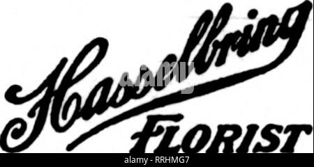 . Les fleuristes [microforme] examen. La floriculture. Anderson Horticulture attention personnelle à F. D. T. Les décrets, grandes ou petites. Nous sommes membres. Liban, New York DETROIT A1CHICAT&gt;J Commandes, compte tenu de meilleurs soins par ces cinq F. D. T. J. Breitmeyer's Sons Broadway et Gratiot Ave. Fetter's Flowers 17 Adams Avenae E. Scribner Co. Floral e04 à l'Est du Fort St G. H. Taepke Takpke G. Walter Co., 95 Gratiot Avenue. Le L. Bemb AiasBT PocHBtoN Floral Co.. 153 rue Bates pour Ycun operoHon l'AFORS Co-Detroit, Michigan ?E5fAco. 1617 Grand River Avenue Kalamazoo, Michigan 6. VAN BOCHOVE &AMP ; FR. F. D. T. ou Banque D'Images