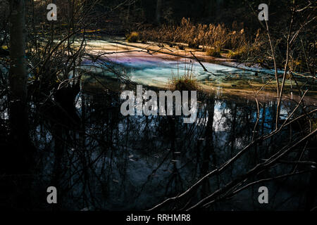 La pollution de l'eau toxique colorés dans des milieux humides pour l'environnement Environnement. Banque D'Images