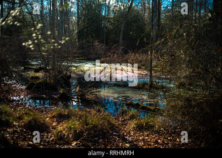 La pollution de l'eau toxique colorés dans des milieux humides pour l'environnement Environnement. Banque D'Images