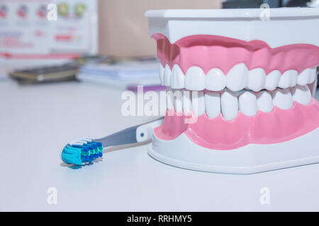 Modèle de dents et soins dentaires outil sur fond blanc.Healthy care concept. Différents types de brosses à dents. beau sourire concept. Banque D'Images
