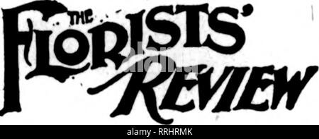 . Les fleuristes [microforme] examen. La floriculture. 13 mai, 1920. Les fleuristes^ Review 25 .^ ^^LA RÉUNION DU CLUB O ^^n|g ?e^^ffl fl ?pw^^ag affw^^^ CHICAGO CLUB SE RÉUNIT. Et encore une fois voit les films. Lors de la réunion de la Flor de Chicago- . ts' Club à l'hôtel Eandolph, Thurs- .Iriy soir, 6 mai, deux des cinq hommes d'adhésion proposée joué promi- wwX articles dans la soirée de divertissement, d'une manière qui était pour l'éducation ainsi que divertissant. Les cinq nouveaux noms ont été comme suit : Frank Resp- ifka, point brut ; Aram, Mestjian Tliflge Wilmettc 1006, avenue ; E. D. Burton, t"00 Temple Maçonnique ; H. E. Larson, 43 Banque D'Images