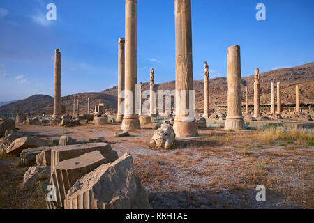 Piliers de l'Apadana palace, Persépolis, Site du patrimoine mondial de l'UNESCO, la province du Fars, Iran, Moyen-Orient Banque D'Images