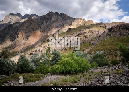 Vallée du Maipo, Chili Banque D'Images