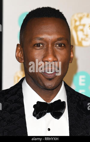 L'acteur américain Mahershala Ali assiste à l'EE British Academy Film Awards au Royal Albert Hall de Londres. 10 février 2019 © Paul Treadway Banque D'Images