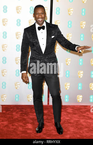 L'acteur américain Mahershala Ali assiste à l'EE British Academy Film Awards au Royal Albert Hall de Londres. 10 février 2019 © Paul Treadway Banque D'Images