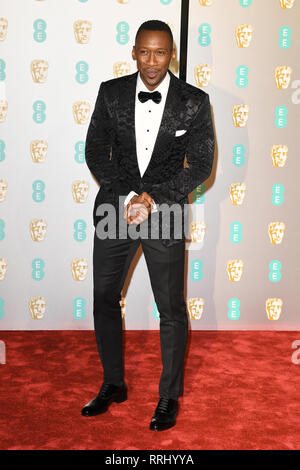 L'acteur américain Mahershala Ali assiste à l'EE British Academy Film Awards au Royal Albert Hall de Londres. 10 février 2019 © Paul Treadway Banque D'Images