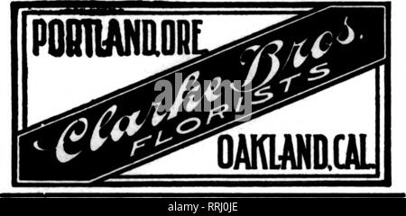 . Les fleuristes [microforme] examen. La floriculture. WOLFSKILLS* et MORRIS GOLDENSON FLEURISTES ET DÉCORATEURS nous solliciter des commandes de télégraphe. Le commerce régulier de réduction. 229 W. Troisième St^ LOS ANGELES, CAL. 1 LOS ANGELES, CAL HOWARD &AMP ; SMITH, neuvième et rues d'OLIVE Vous pouvez compter sur nous pour toutes les commandes à livrer dans cette section. DARL1NG*S SHOP "Flower* pour elle" 208 West Sixth Street, LOS ANGELES, CAL coupées ou bon travail de conception par les meilleurs artistes et designers livrés n'importe où à l'ouest sur la réception du courrier ou de télégraphe des commandes. Remise habituelle à l'échange. WRIGHTS FLOWER SHOP " 224 West Banque D'Images
