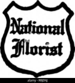 . Les fleuristes [microforme] examen. La floriculture. WASHINGTON, D. C. CUDE BROS.CO. &Amp ; °F^s ?'^HiNQTOKod IMF membres nt les fleuristes Livraison de télégraphe Richmond, VA. L'Hammond Company, Inc. conduisant les fleuristes 109 EAST BROAD STREET LYNCHBURG, Virginie et Auto Service Express pour tous les points en Virginie Mme JVIcCarron États les fleuristes Livraison de télégraphe. NORFOLK, VA. Le fleuriste GRANDY arrêtés aussi livré à la forteresse Monroe, VA. Les États les fleuristes Livraison de télégraphe NASHVILLE TENNESSEE Association Membres de JOY pour fleuristes Livraison de télégraphe aes'n.. Geny Bros. '-^»^^ FLEURISTES 212 Fifth Avenue North NAS Banque D'Images