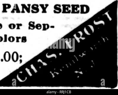 . Les fleuristes [microforme] examen. La floriculture. KENILWORTH PANSY GÉANT DES SEMENCES dans un mélange ou une sep- arate couleurs 1000graines,30c;4000, $1.00 ;. ^4-oz.,$l.26 ; oz., 5,00 $ US.. Veuillez noter que ces images sont extraites de la page numérisée des images qui peuvent avoir été retouchées numériquement pour plus de lisibilité - coloration et l'aspect de ces illustrations ne peut pas parfaitement ressembler à l'œuvre originale.. Chicago : les fleuristes Pub. Co Banque D'Images