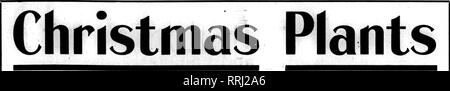 . Les fleuristes [microforme] examen. La floriculture. .^ • - y. - ,, . F-- Dbcsmbbb^, 4, 1919. Les fleuristes^ Examen 18. ORDE12 maintenant-bon stock comme ça va vite. BEGONIAS Gloire de Cincinnati plantes extra fine 2,50 $ et 4,00 $ Chaque Rkd Noël Pinic et 4 pouces, 0,25 $ chacun 5 pouces chaque 50^ CYCLAMEN finest vous jamais vu 5 pouces 1,25 $ chacune 6 pouces 2,00 chaque POINSETTIAS 3 pouces 0,20 $ Chaque 5 pouces, composé de fougères 75 chaque 6 pouces, composé de fougères $1,00 et 1,50 à 2,00 chaque grandes usines chinoises 3,50 chaque PRIMROSES 4 pouces 0,25 $ Chaque 5 pouces 50 chaque PRIMULA OBCONICA 4 pouces 30 pouces chaque 5 .. . ? 50 chaque C Banque D'Images