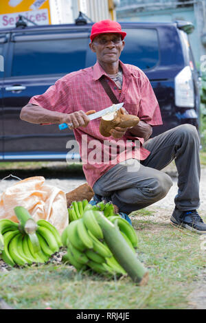 St Elizabeth / Jamaïque - Février 2019 : un agriculteur local vendant des ignames et des bananes sur les rues de Balaclava Banque D'Images