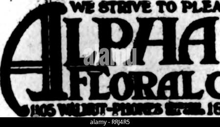 . Les fleuristes [microforme] examen. La floriculture. HEHBEB F. T. D. WEBER ST. LOUIS, MO. ST. LOUIS, MO. GRIMM "&amp ; GORLY menant au centre-ville les fleuristes les fleuristes Membres Livraison Télégraphe ST. LOUIS, MO. FIOWERS LIVRÉ EN VILLE OU DE L'ÉTAT À COURT PRÉAVIS F. H. WEBER, avenue Taylor et Olive Street Les deux téléphones Longue Distance pour fleuristes Membre de l'Association des commandes pour livraison de télégraphe ST. LOUIS, MO. YOUNG'S : : 1406 Saint Olive ST. LOUIS, MO. Sur le fil de téléphone ou vos commandes à la CHAMBRE DES FLEURS OSTERTAG BROS. La plus grande maison d'alimentation au détail dans le West Jefferson ET WASHINGTON AVES. ST. LOUIS, MO. Sur le fil de vos commandes Banque D'Images
