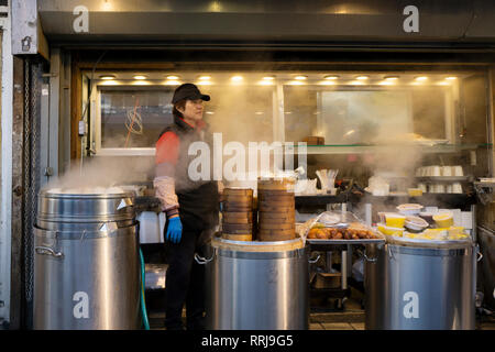 Une femme chinoise travailler à l'extérieur dans l'hiver sur de vastes paquebots. Dans le quartier chinois, le centre-ville de Flushing, New York. Banque D'Images