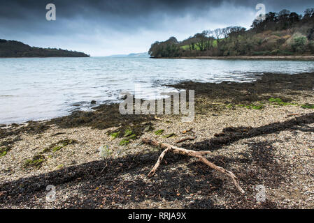 La rivière Fal à Cornwall. Banque D'Images