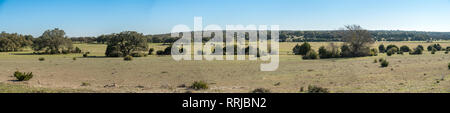 Panorama haute résolution de terres de champ ouvert au Texas Banque D'Images