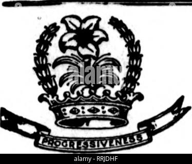 . Les fleuristes [microforme] examen. La floriculture. CUDE BROS.CO. TLORISTS 1214 r 3T.NW. tt6 ?HlN(C0N,D.6 Washington, D. C. Les membres de l'Morlats GUDE Telegraph' la livraison. Veuillez noter que ces images sont extraites de la page numérisée des images qui peuvent avoir été retouchées numériquement pour plus de lisibilité - coloration et l'aspect de ces illustrations ne peut pas parfaitement ressembler à l'œuvre originale.. Chicago : les fleuristes Pub. Co Banque D'Images