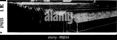 . Les fleuristes [microforme] examen. La floriculture. 108^ NOTBMBEB Les fleuristes d'examen 14, 1918. Le matériau de construction de serre&lt;Émissions de compléter ou d'une partie de celui-ci HAUT LIEU Nous avons une guillotine stock complet de botbed sash pour expédition immédiate. Nous sommes à notre 35e année, de la fabrication de matériel de Serre et pépinière ceinture et se sentir confi- dent que nous puissions vous donner le bon articles et prix. Notre catalogue est très instructif d'Grecnliouse propriétaires. Aslc pour un.. Dictscii Maisons de Henry A. Dreer, Inc., Philadelphie, Pennsylvanie A* DIETSCH CO"92640 ChlCagO Sheffield Avenue, fleurs artificielles. La paix m Banque D'Images