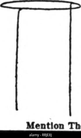 . Les fleuristes [microforme] examen. La floriculture. Les non-tissés de coude de flexible dans n'importe quelle longueur (une seule pièce), avec des accouplements, 14c par ft. Uneaual- ed au prix. Vestiges, moins de 60 pi., 10c par ft. avec des accouplements. Soupape flexible 70C, tous les cuivres, à l'exception de la roue droite. A un disque en cuir amovible, qui est facilement remplacé de garder étanches. StuflSng fort empêche les fuites à la tige. METROPOLITAN CO. 1896-1410 HetropollUB Brooklya, Avenue, N. T. M^Btloo" Ct RgTl&gt;w wlw ro  % écrire. Les jeunes de l'Entreprise Outil de Casey, l'Illinois pour sportifs prend en charge pour une utilisation en tant que premier niveau avec du fil et de la ficelle. L'anneau unique, 7 pouces de di Banque D'Images