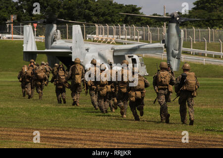 Marines avec la 31e Marine Expeditionary Force de l'unité Raid Maritime courir vers une MV-22B avion à rotors basculants Osprey pendant un raid simulé au Camp Hansen, Okinawa, Japon, le 25 février 2019. La 31e MEU, dans un exercice de commandement et de contrôle, est en train d'achever les opérations de découpage à travers une large bande de la région indo-pacifique comprenant au moins quatre emplacements géographiques - Okinawa, Japon ; à bord du navire de débarquement dock USS Ashland (LSD 48) dans la mer de Chine du Sud ; à bord du quai de transport amphibie USS Green Bay (LPD 20) dans le golfe de Thaïlande ; et d'autres lieux inconnus. C'est le Banque D'Images