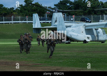 Marines avec la 31e Marine Expeditionary Force de l'unité Raid Maritime quitter une MV-22B avion à rotors basculants Osprey pendant un raid simulé au Camp Hansen, Okinawa, Japon, le 25 février 2019. La 31e MEU, dans un exercice de commandement et de contrôle, est en train d'achever les opérations de découpage à travers une large bande de la région indo-pacifique comprenant au moins quatre emplacements géographiques - Okinawa, Japon ; à bord du navire de débarquement dock USS Ashland (LSD 48) dans la mer de Chine du Sud ; à bord du quai de transport amphibie USS Green Bay (LPD 20) dans le golfe de Thaïlande ; et d'autres lieux inconnus. C'est la première Banque D'Images