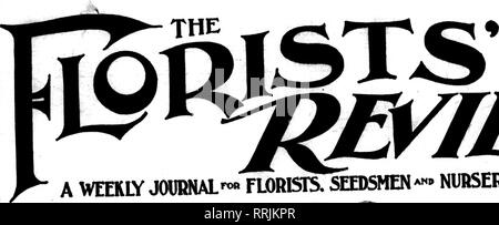 . Les fleuristes [microforme] examen. La floriculture. «^itfv T Tm un journal hebdomadaire"* fleuristes. Les semenciers*"- les pépiniéristes. Veuillez noter que ces images sont extraites de la page numérisée des images qui peuvent avoir été retouchées numériquement pour plus de lisibilité - coloration et l'aspect de ces illustrations ne peut pas parfaitement ressembler à l'œuvre originale.. Chicago : les fleuristes Pub. Co Banque D'Images