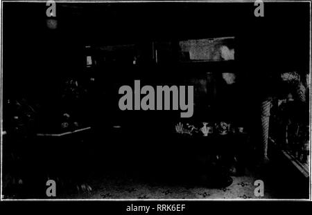 . Les fleuristes [microforme] examen. La floriculture. * ,Ji. .^.Ji'V'- NOVBMBEB 2, 1916. Les fleuristes'Review 9t George Asmus ordonne une autre Buchbinder réfrigérateur. SCHILLER'S MADISON STREET STORE ? %^^ ^Rgt. rinh. Veuillez noter que ces images sont extraites de la page numérisée des images qui peuvent avoir été retouchées numériquement pour plus de lisibilité - coloration et l'aspect de ces illustrations ne peut pas parfaitement ressembler à l'œuvre originale.. Chicago : les fleuristes Pub. Co Banque D'Images