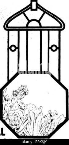 . Les fleuristes [microforme] examen. La floriculture. Construit pour l'été dernier, M. F. H. Stoltze, Minneapolis, Minn.. rcytSERVATOniES .J 1 conservatoires ersonal^' c'est le titre de notre catalogue hiver et il exprime mieux le genre d'émissions que nous construisons pour vous. Avant d'avoir nos dessins et des dépenses nous avons vraiment étudier votre proposition. Nous prenons en considération le style d'architecture de vos bâtiments environnants, le but pour lequel l'effet de serre est destiné, le paysage, etc. mais nous vous en dire plus à ce sujet dans notre catalogue ; il suffit d'écrire pour elle.. Veuillez noter que ces Banque D'Images