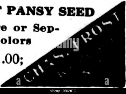 . Les fleuristes [microforme] examen. La floriculture. KENILWORTH r : GIANT PANSY en mélange ou crarate 1000 Sep Couleurs graines,30c;4000,$1,00 Voz.,$l.25;oz., 6,00 $US. Veuillez noter que ces images sont extraites de la page numérisée des images qui peuvent avoir été retouchées numériquement pour plus de lisibilité - coloration et l'aspect de ces illustrations ne peut pas parfaitement ressembler à l'œuvre originale.. Chicago : les fleuristes Pub. Co Banque D'Images