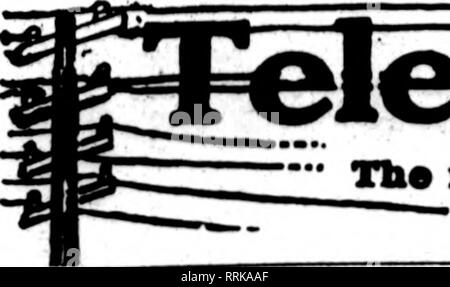 . Les fleuristes [microforme] examen. La floriculture. JANUABY 30. 1919. L'examen pour fleuristes. Le florlata wboae : : appMur les cartes sur l'épreuve oarryinc ce chef, sont prêts à remplir les commandes. d'autres fleuristes pour la livraison locale sur la base d'habitude.. Veuillez noter que ces images sont extraites de la page numérisée des images qui peuvent avoir été retouchées numériquement pour plus de lisibilité - coloration et l'aspect de ces illustrations ne peut pas parfaitement ressembler à l'œuvre originale.. Chicago : les fleuristes Pub. Co Banque D'Images