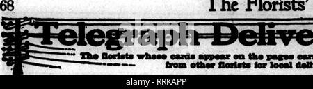 . Les fleuristes [microforme] examen. La floriculture. Les fleuristes^ l'examen. 24, 1919 ?aibp. très flonteta^ Ji© wlUM* earda appMur sur tlM *'"&gt ;' ? Fram othw floctots ownrln* thia pour looal baad*. Veuillez noter que ces images sont extraites de la page numérisée des images qui peuvent avoir été retouchées numériquement pour plus de lisibilité - coloration et l'aspect de ces illustrations ne peut pas parfaitement ressembler à l'œuvre originale.. Chicago : les fleuristes Pub. Co Banque D'Images