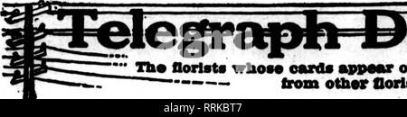 . Les fleuristes [microforme] examen. La floriculture. JANUABY 23, 1918. Le^ Fleuristes fleuristes. Examen celui qui avpMur les cartes sur l'Et oarrylnK hoiki pacos fhls. proparad ordars à aro huile -- de otbar daUvanr locaux pour les fleuristes sur tha d'habitude.. Veuillez noter que ces images sont extraites de la page numérisée des images qui peuvent avoir été retouchées numériquement pour plus de lisibilité - coloration et l'aspect de ces illustrations ne peut pas parfaitement ressembler à l'œuvre originale.. Chicago : les fleuristes Pub. Co Banque D'Images