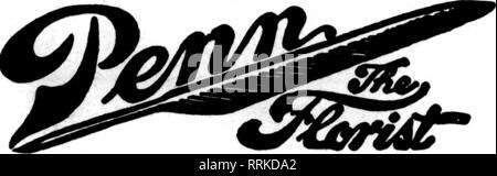 . Les fleuristes [microforme] examen. La floriculture. 350,000 pieds carrés de 6LASS à Lancaster, NY DEUX MAGASINS 304 MAIN ST. 260 DELAWARE AVE. 342 CARBONE, BoylstoQ Street, Boston États les fleuristes Livraison de télégraphe Ass'n. Une Capl -BOSTON, MASS. ^^*-'- 144 Massachusetts Avenue. États F. T. D. Ppecial attention griven' Telegraph commandes de nouveaux Ensland Conservatory of Music ; Radcliffe et Wel- lesley ColleKes. W'edeiiver à toutes les régions du Massachusetts. Brookline, Massachusetts 220 Washington Street F. E. Palmer, Inc. : F&lt;J*J 1 V/l 1 J. EISMAN Manager, 14 ans directrice décor- ator et designer pour Penn's. BFF, PROUPT Banque D'Images