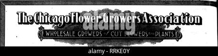 . Les fleuristes [microforme] examen. La floriculture. 30 La revue OCTOBIB^ Fleuristes 9&gt ; 1019.. 182 N. Wabash Avenue ? ?.SH" vSUSSS^ «" : Chicago, D. Pboie Rindolph 631 t faire maintenant !. Veuillez noter que ces images sont extraites de la page numérisée des images qui peuvent avoir été retouchées numériquement pour plus de lisibilité - coloration et l'aspect de ces illustrations ne peut pas parfaitement ressembler à l'œuvre originale.. Chicago : les fleuristes Pub. Co Banque D'Images