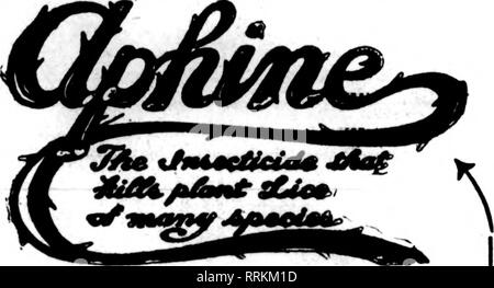 . Les fleuristes [microforme] examen. La floriculture. Enregistrer votre pitints et arbres. Juste le penser "ou Kreenhouse et l'utilisation à l'extérieur. Monts-mealy Bnjf détruit, marron et blanc, échelle, Thrlps araignée rouge. La Mouche noire et verte. Les Mites, fourmis, etc.. sans dommage aux plantes et sans odeur. Accord utilisé- Inif de direction, notre Insecticide standard empêchera les ravages sur vos cultures par les insectes. Les non-polBonous et inoffensif pour l'utilisateur et de l'usine. Leadinir les semenciers et les fleuristes ont utilisé avec des résultats merveilleux. Détruit le pou du poisson en poulaillers. Les puces au méchants et tous les animaux domestiques. Kxcellent comme un lavage pour Aogs et d'autres ani Banque D'Images